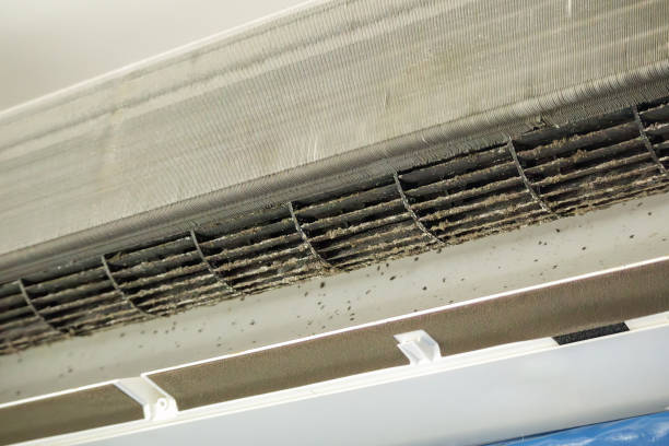 Best Air Duct Cleaning Near Me in AZ